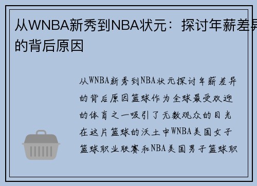 从WNBA新秀到NBA状元：探讨年薪差异的背后原因